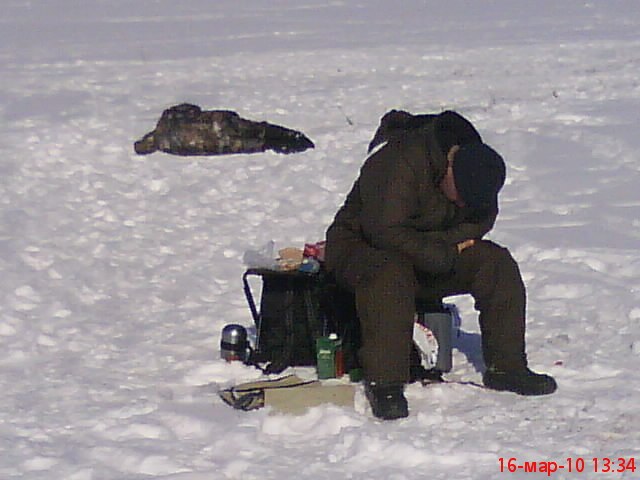Алексей Стренго | Санкт-Петербург