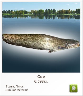 Дмитрий Кантеев | Саранск