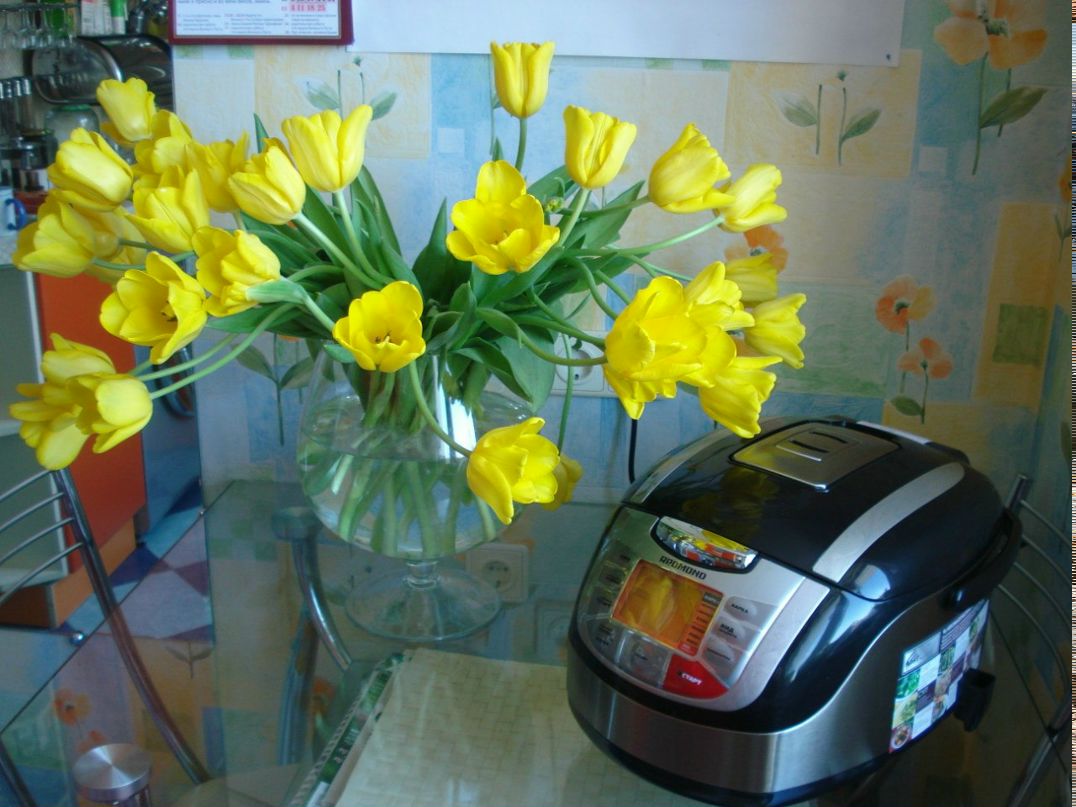 Анна Шипакова | Санкт-Петербург