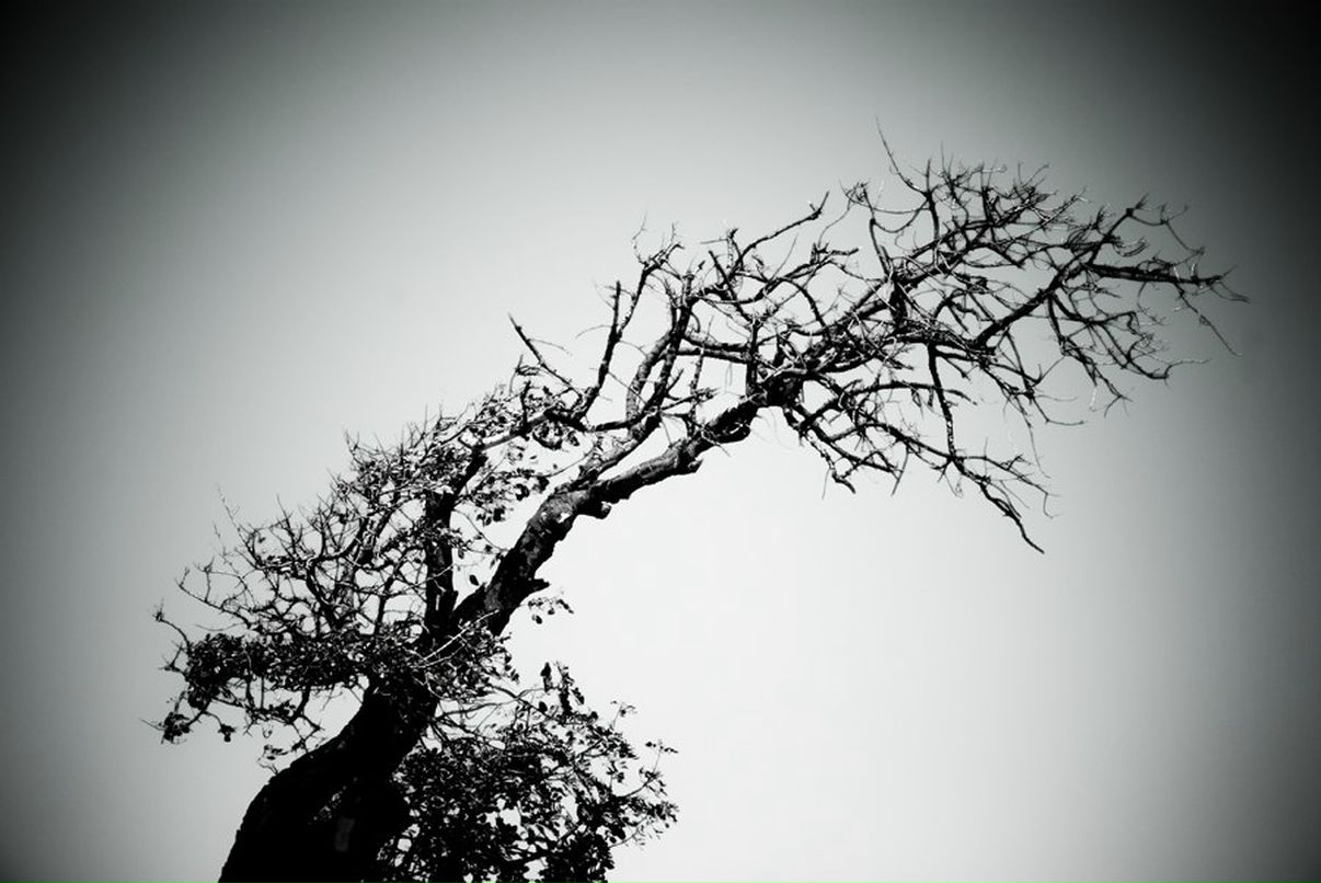 Mikhail Chipurnoi | Москва