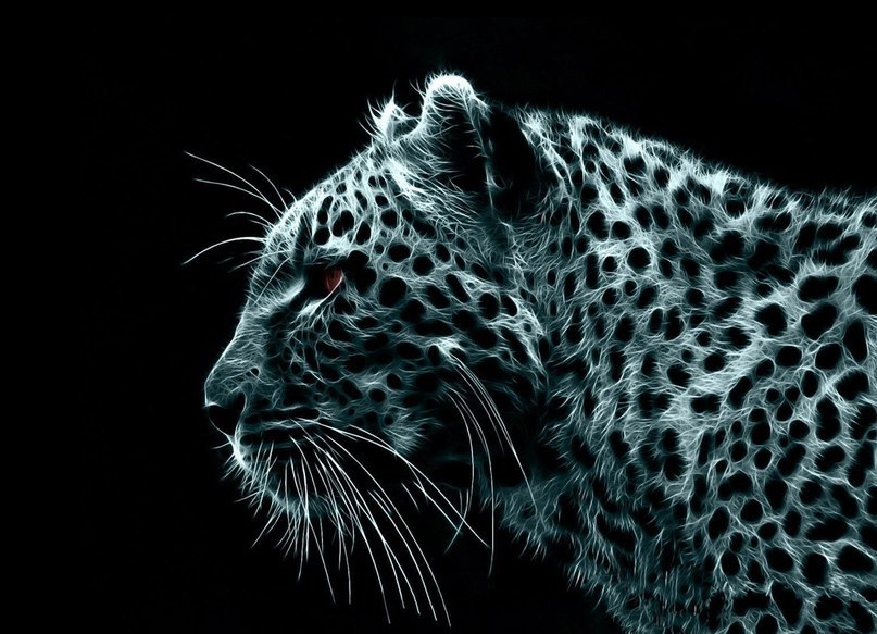 ~mac~ M~ | Алматы