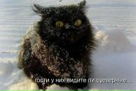 №30 Sweet Vogue 18.08: профиль, фото, статус - ВКонтакте