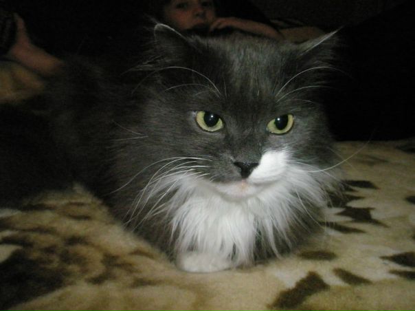 №5, Люда Андреева, Алушта №5, Люда Андреева, Алушта