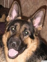 Виктория Котова | Сургут