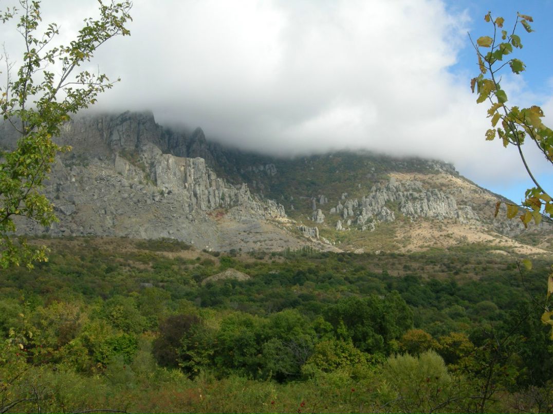 Любовь Думанская | Одесса