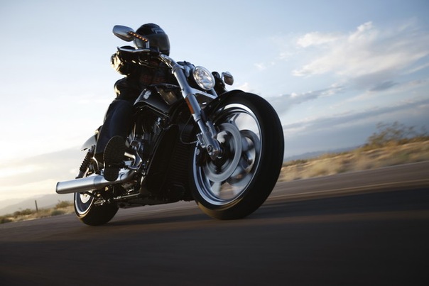 №49, Макс Ялынский, Санкт-Петербург №49, Макс Ялынский, Санкт-Петербург