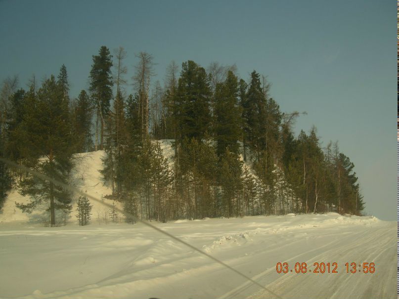 Роман Сергиенко | Екатеринбург