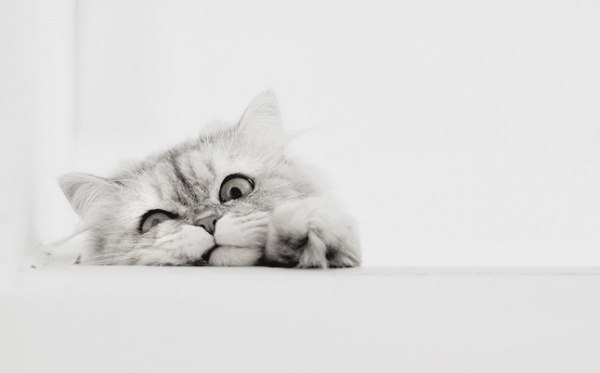 Anna Furman | Львов