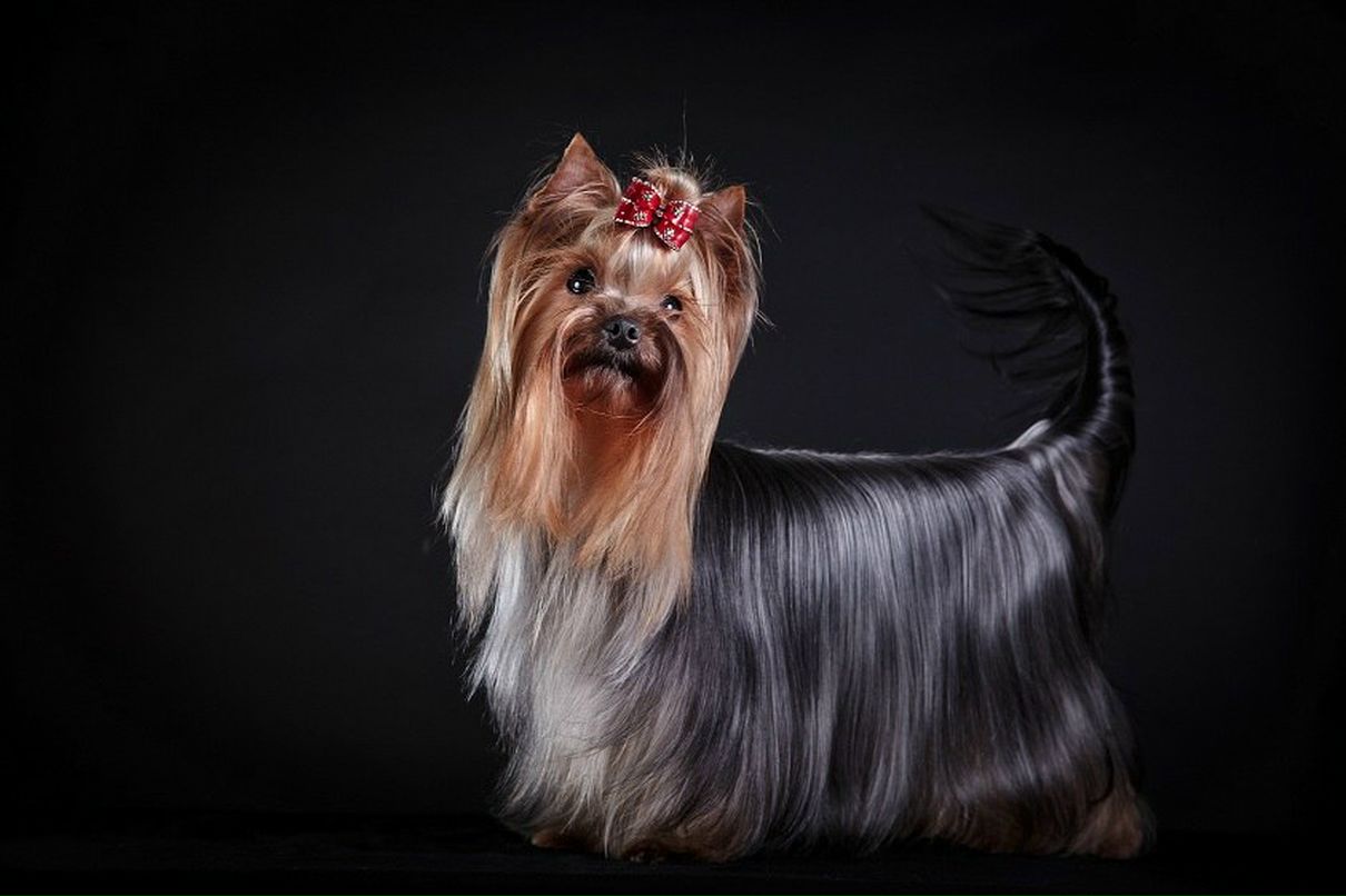 Анна Любер | Санкт-Петербург