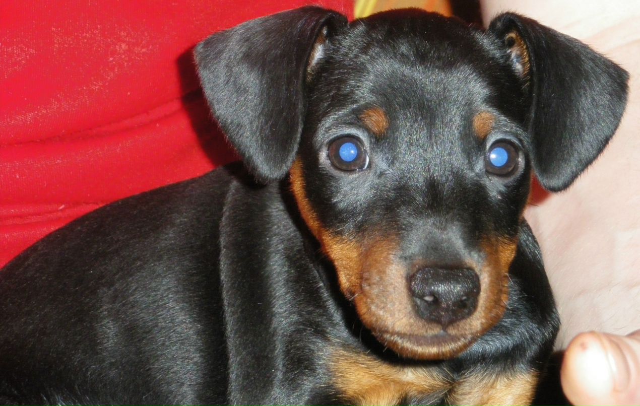 Елена Халцонен | Санкт-Петербург