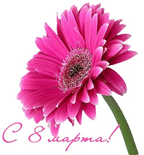 №32, Лилия Данив (Гресь), 41 год, Киев №32, Лилия Данив (Гресь), 41 год, Киев