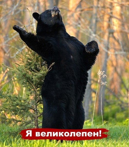 Артем Артемов | Road Town