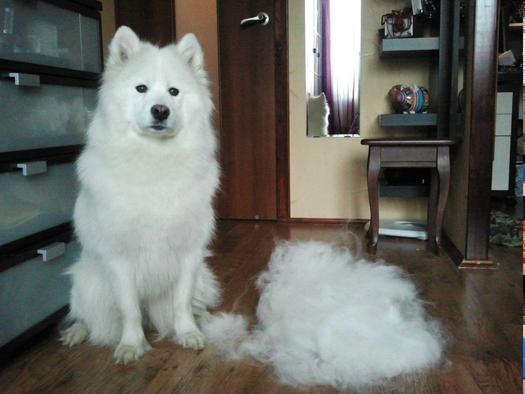 Алевтина Наместникова | Москва