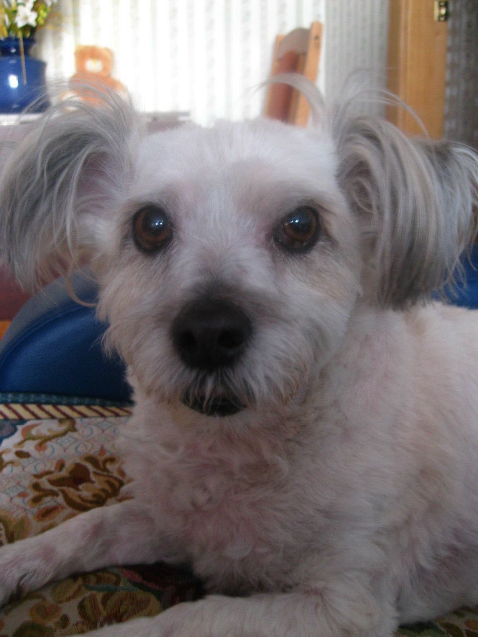 Инна Лукина | Санкт-Петербург