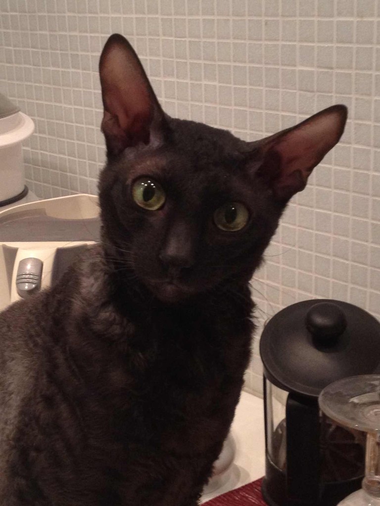 Анна Белова | Пермь