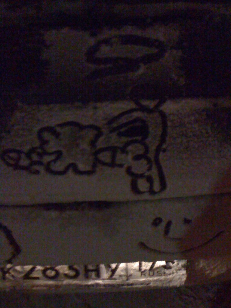 Алексей Брусницин *VaskaDogama* | Санкт-Петербург