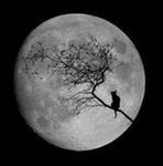 Kira Chapkina | Москва