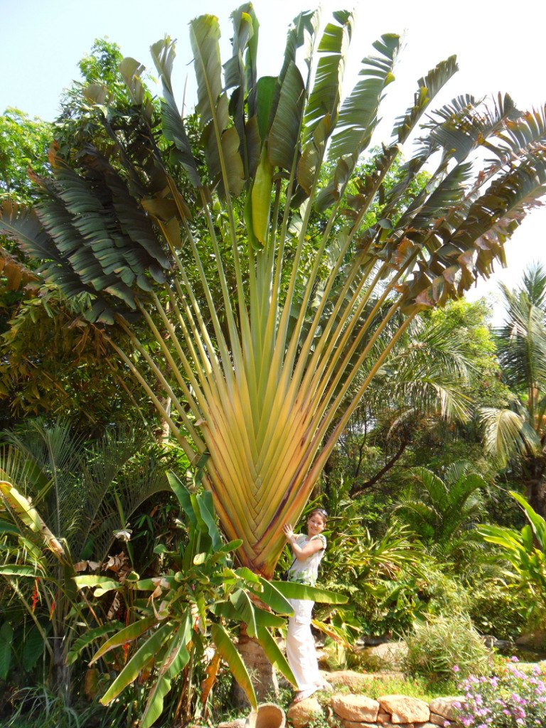 Валентина Безрукова | Якутск