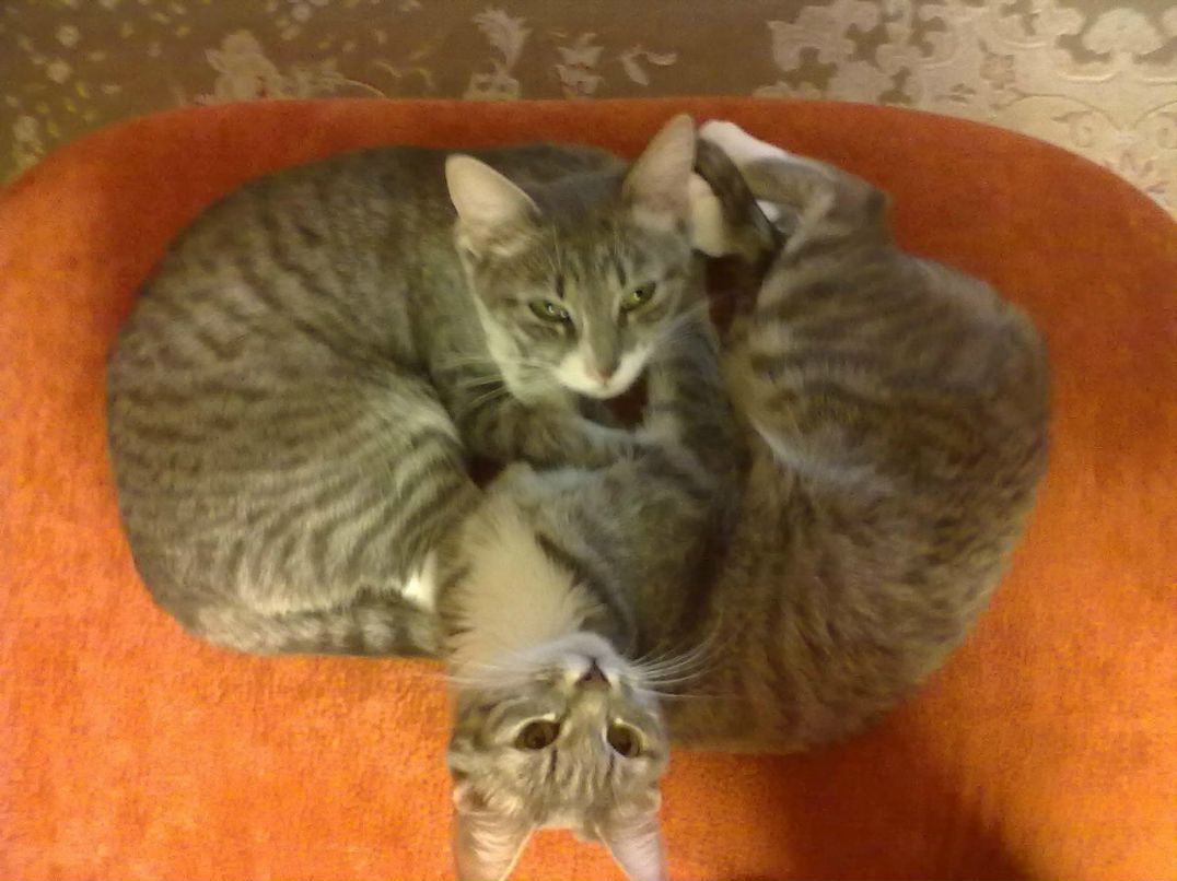 Маринка Шелеметьева | Москва