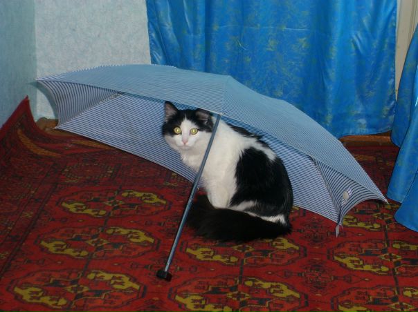 №14, Екатерина Дандарова №14, Екатерина Дандарова