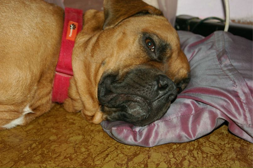 Светлана Мордвинова | Новосибирск