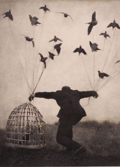 №37, Юлия Деденко №37, Юлия Деденко