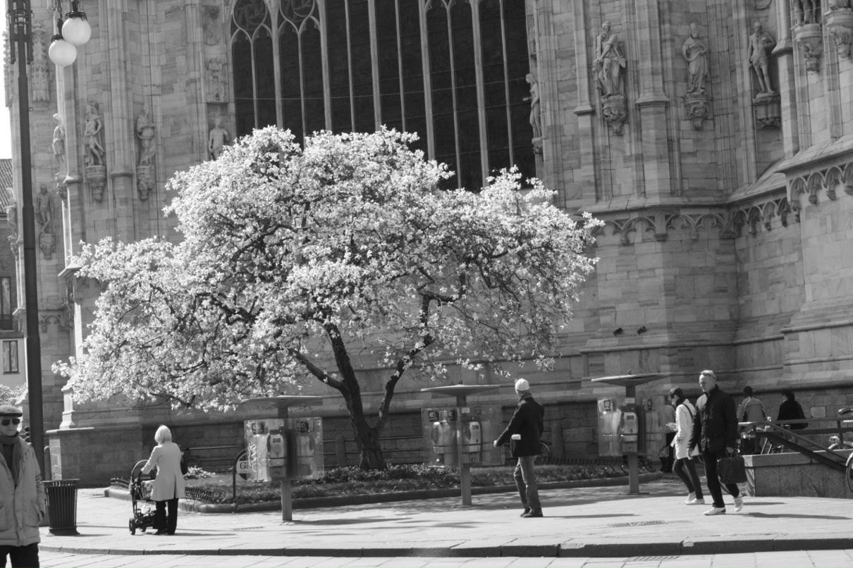Тамара Ильяшенко | Санкт-Петербург