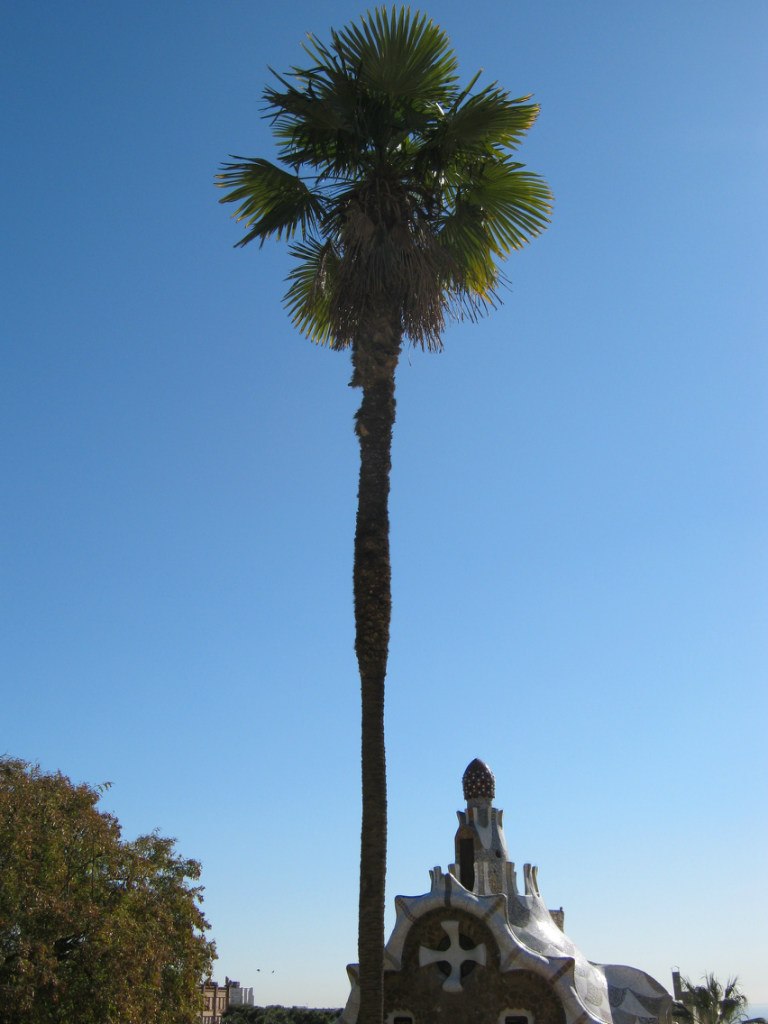 Евгений Козырин | Екатеринбург