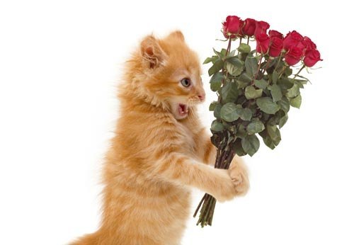 Никита Казаченко | 