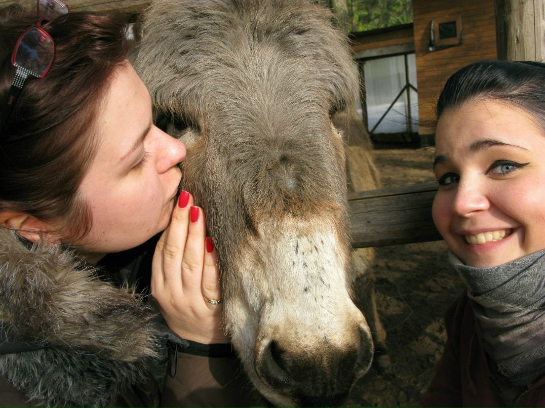 Олеся Петрова | Санкт-Петербург