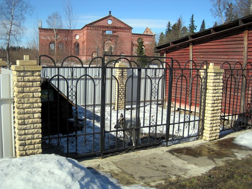 Владимир Митин | 