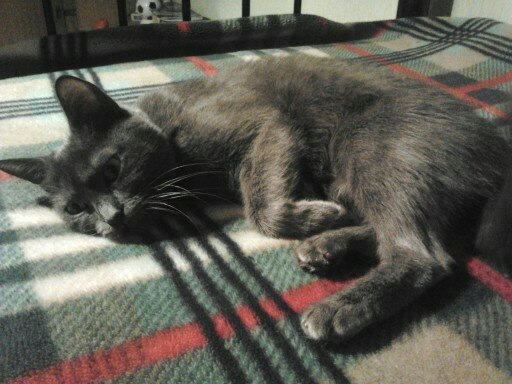 Max Zinchenko | Киев