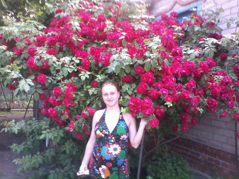 Анна Гончарова | Харьков