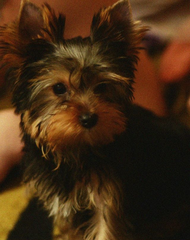 Валюшка Любова (A-Pretty))) | Москва