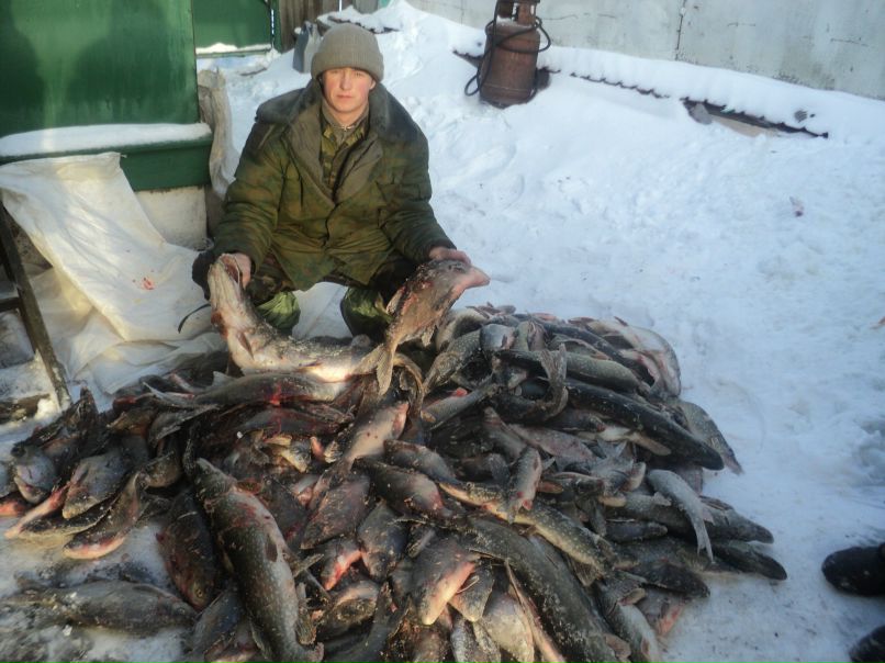 Александр Евдокимов | Воронеж