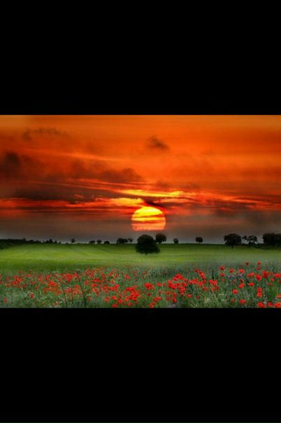 №155, Алина Симпл, 35 лет, Калининград №155, Алина Симпл, 35 лет, Калининград