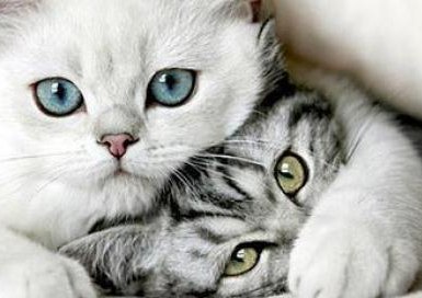 Princess Soleil 望美 | Череповец