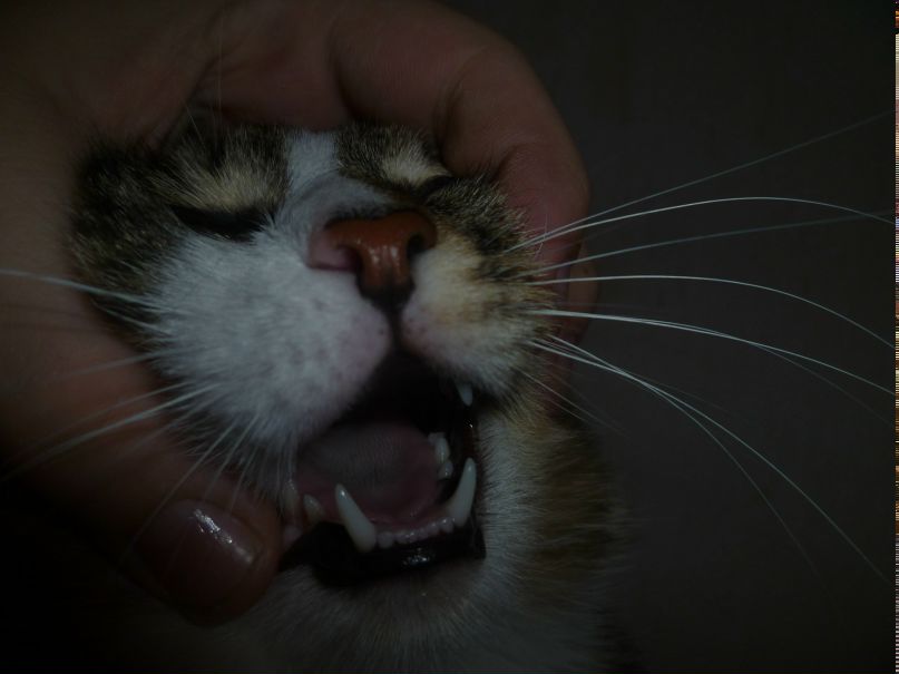 Татьяна Гришковец | Красноярск