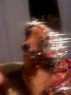 Виктория Горбачева фото профиля #6