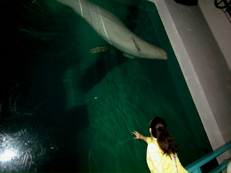 №151, Дария Филиппова, Якутск №151, Дария Филиппова, Якутск