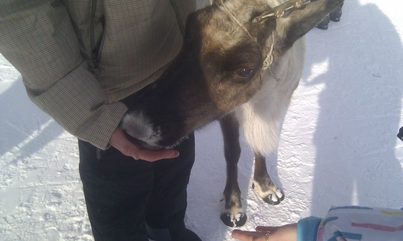 Сёмка Pac | Санкт-Петербург