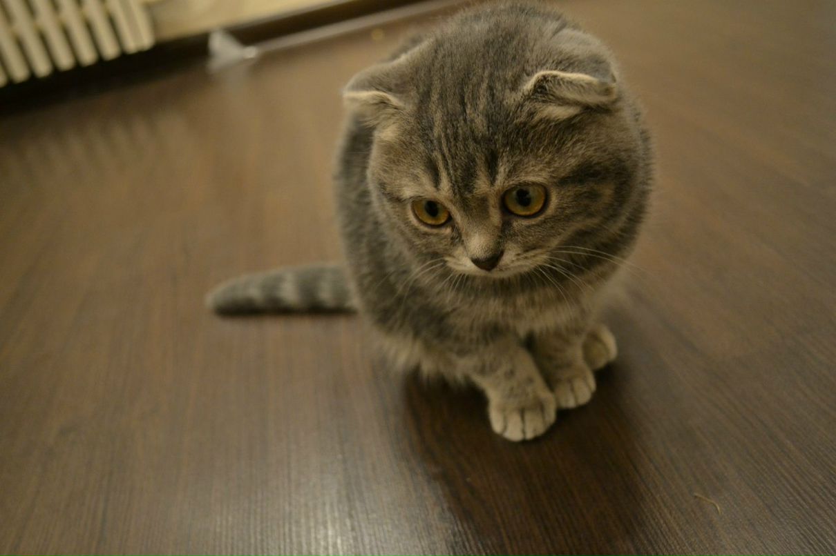 Маша Басова | Екатеринбург