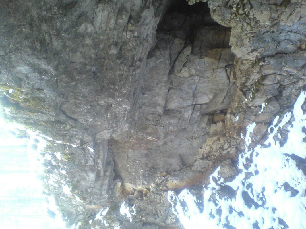 Владислав Шентенков | Екатеринбург