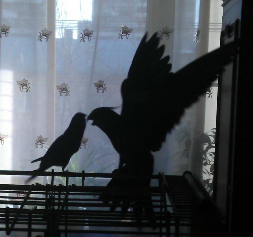 Катерина Ванюшина В@НЮШ | Москва