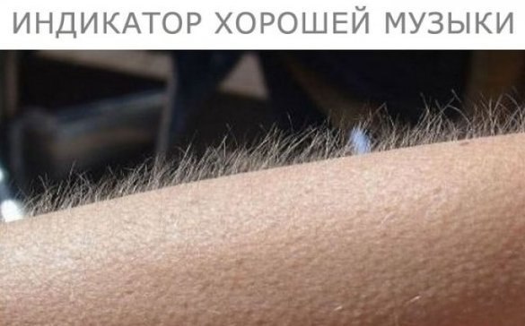 №96, Вероника Ковальчук, 35 лет, Новополоцк, Беларусь №96, Вероника Ковальчук, 35 лет, Новополоцк, Беларусь