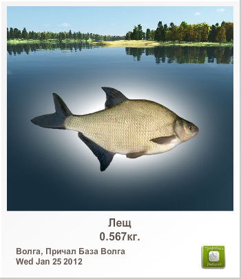 Николай Пащенко | Пятков Лог