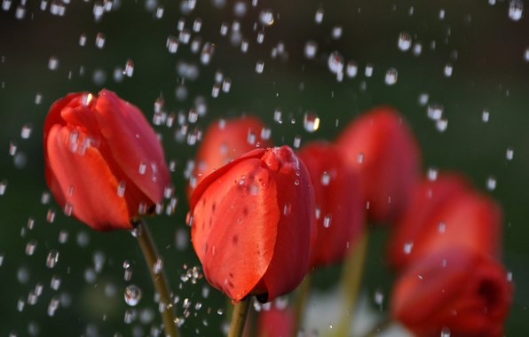 Таня Антонова ♥ | Великий Устюг