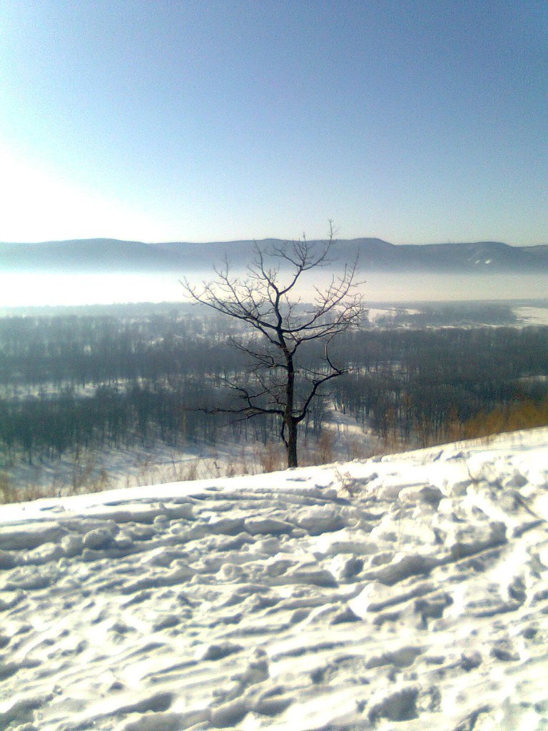 Геннадий Пальчиков | Самара