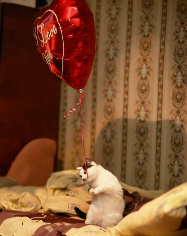 Михаил Малиничев Юрьевич | Белогорск