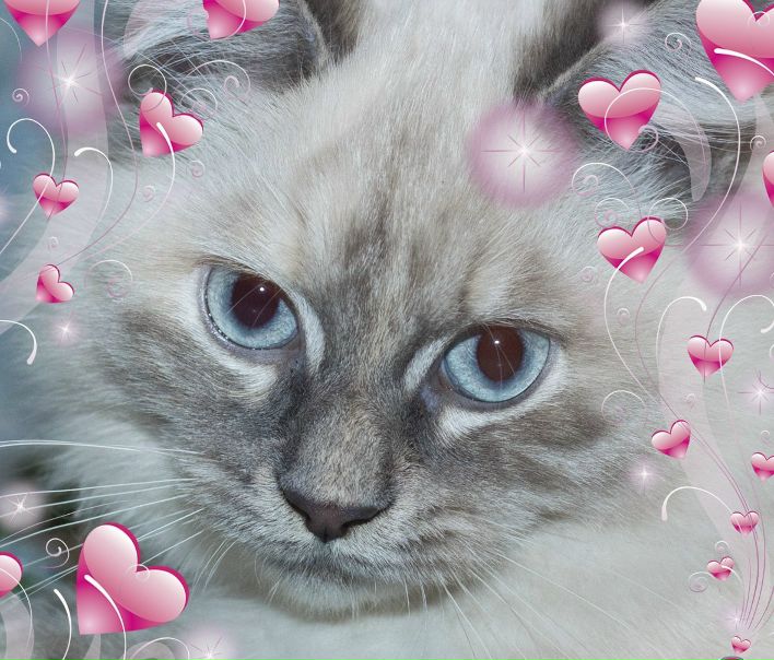 №101, Катя Шевченко, 44 года, Kotka №101, Катя Шевченко, 44 года, Kotka